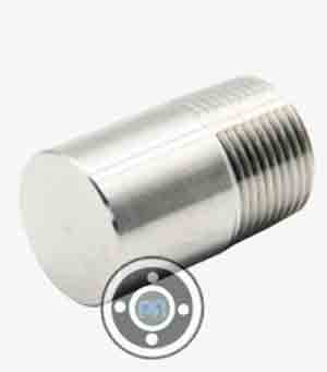 15 NB 3000 LBS Stainless Steel Round Head Plug