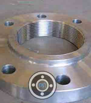 300 LBS ASTM A182 Grade F304 Screwed Flange