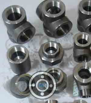 310 Stainless Steel Forged Fittings