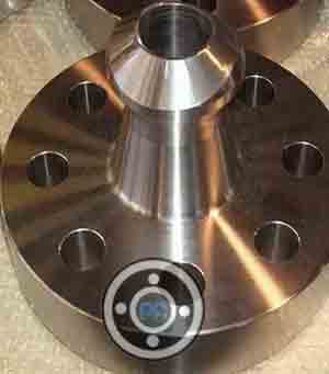 310 Stainless Steel Nipoflange