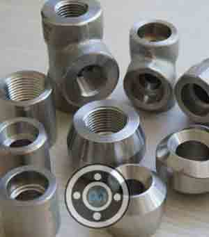 310S Stainless Steel Forged Fittings