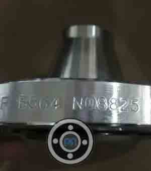 825 Incoloy Weld Neck Flanges