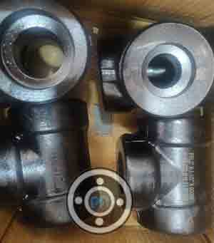Alloy Steel Forged Fittings