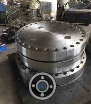 ASME SA182 F316L BLRF Flanges