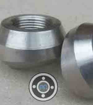 ASME SA182 SS Threadolet