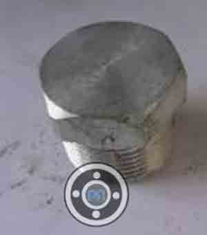 ASME SA182 Stainless Steel Hex Head Plug