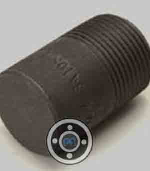 ASTM A105 CS Round Head Plug