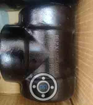 ASTM A182 F22 Fittings