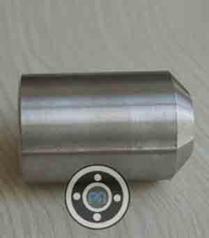 ASTM A182 SS Boss