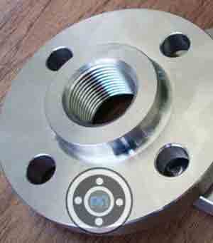 Austenitic Stainless Steel Threaded Flange