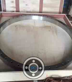 AWWA C207 Class D Ring Flange
