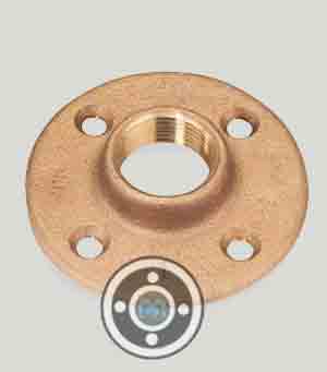 C51000 Bronze Threaded Flange