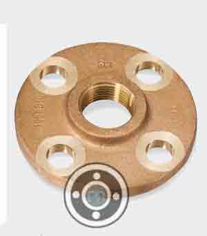 C92500 Bronze Flange
