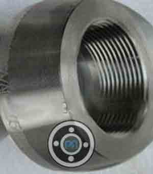 Carbon Steel ASTM A105 Socket weld Elbolet