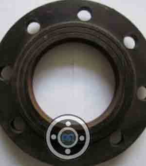 Ductile Iron Threaded Flange