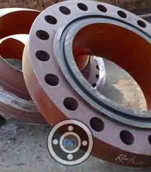 Fusion Epoxy Coating DI Socket Weld Flange