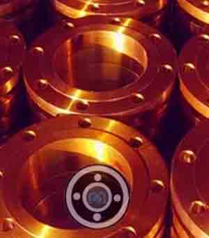 Gun Metal Flanges