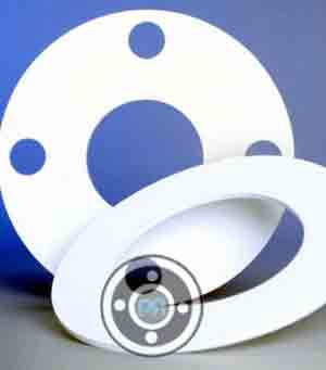 PTFE Gasket