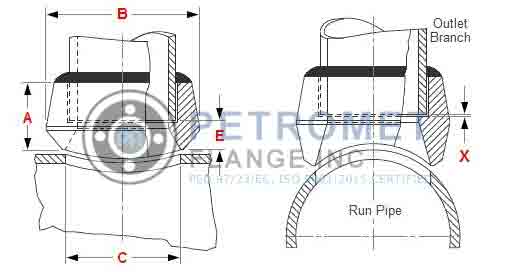 Reducing Socket Weld Outlets