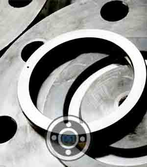 Ring Joint Flange Gasket