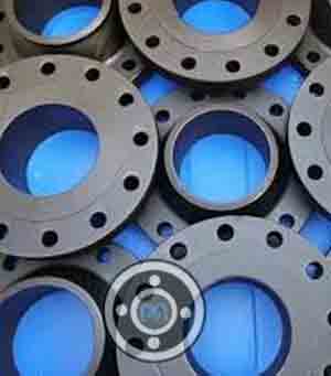 SA 105 Flange