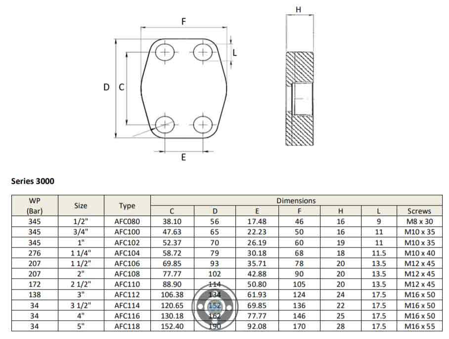 SAE Blind Flange