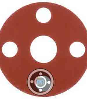Silicon Flange