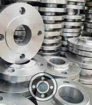 SS 316 Flange
