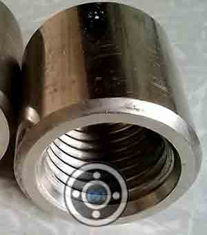 SS 316L Threaded Coupling