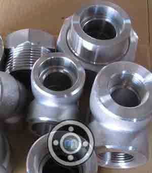Stainless Steel 316 Forged Fittings