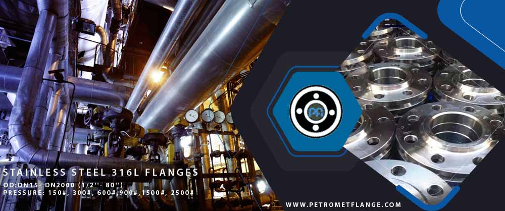 Stainless Steel 316L Flanges
