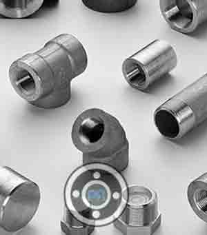 Stainless Steel Threaded Fittings