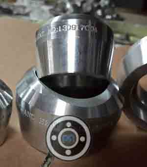 Stainless Steel Weldolet