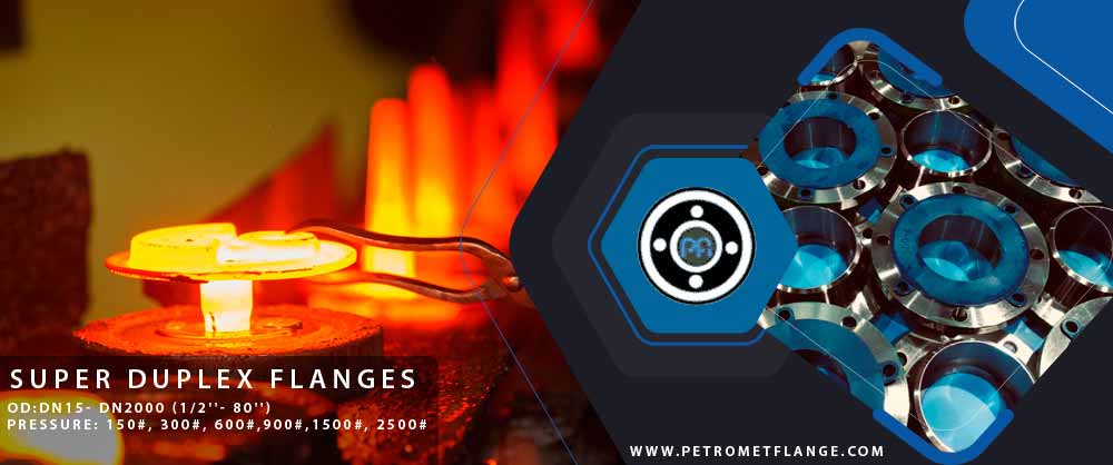 Super Duplex Flanges manufacturer in India