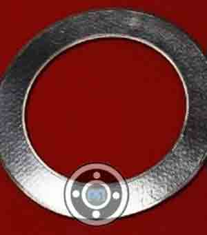 Tanged insert gasket