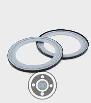 TFM gasket