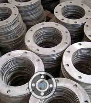 Titanium Pipe Flange