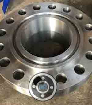 UNS S30400 Ring Joint Flange