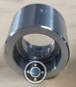 UNS S31603 Forged Coupling