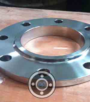 UNS S32760 SW Flange