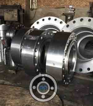 WNR 1.4462 Girth Flanges